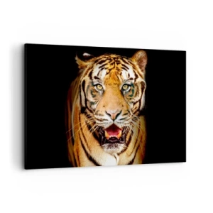 Cuadro sobre lienzo - Impresión de Imagen - Un tigre con la boca abierta sobre un fondo negro. - 120x80cm - Salvaje de corazón - Decoración de pared moderna para salón y dormitorio ARTTOR