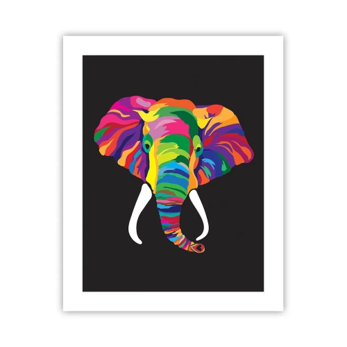 Póster - El elefante al que le gustaba bañarse en el arco iris - 40x50 cm