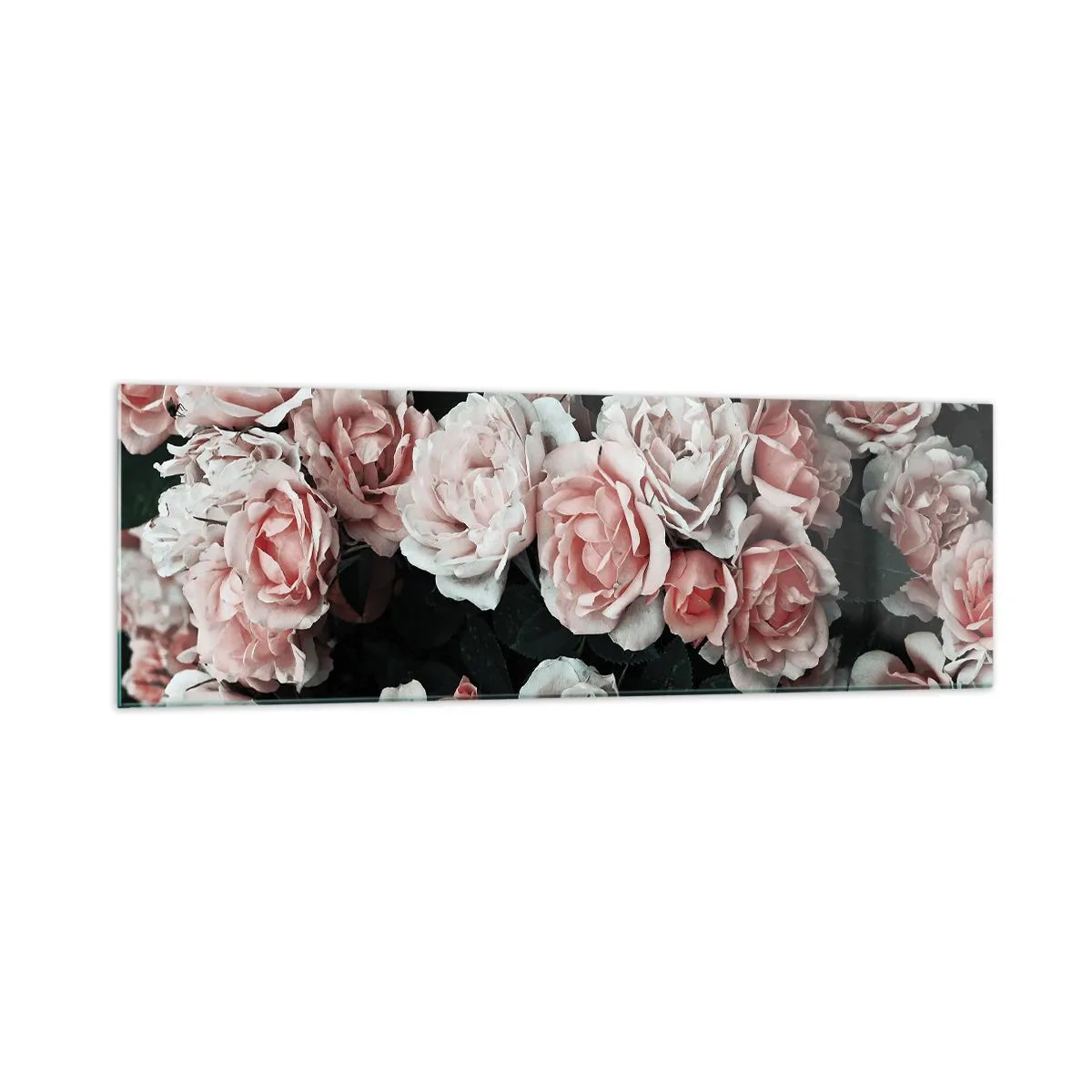 Cuadro sobre vidrio - Impresiones sobre Vidrio - Rosas rosadas sobre un fondo oscuro en una composición sutil. - 160x50cm - Conjunto de rosas - Decoración de pared moderna para salón y dormitorio ARTTOR