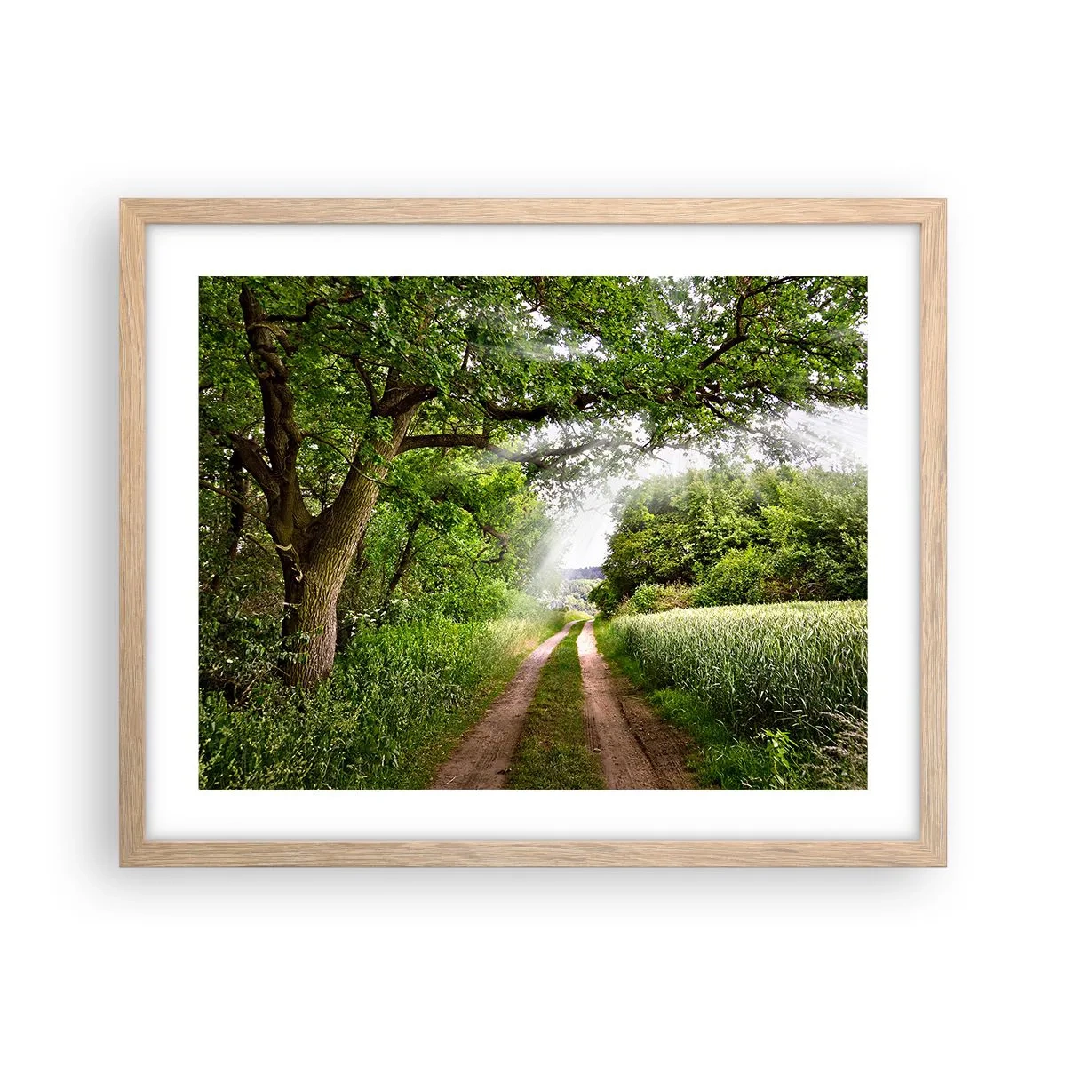 Póster en marco roble claro - Ensueño - 50x40 cm
