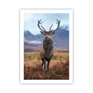 Póster - Un ciervo orgulloso con las montañas como telón de fondo - 50x70cm - En mi propia tierra - Decoración de pared moderna para salón y dormitorio ARTTOR