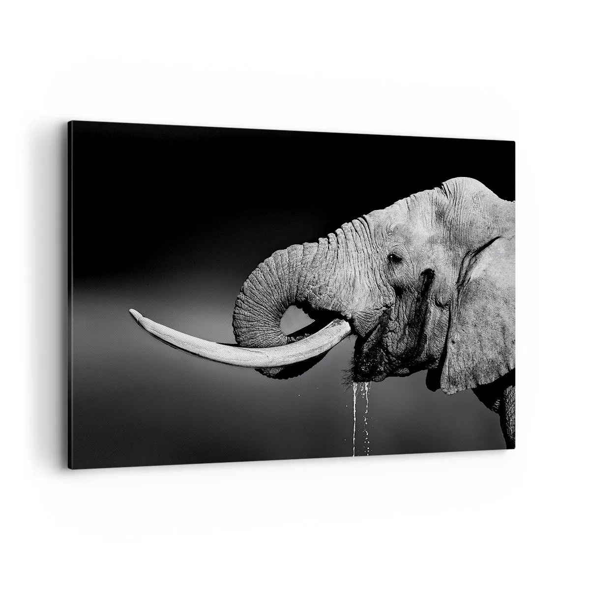 Cuadro sobre lienzo - Impresión de Imagen - Retrato en blanco y negro de un elefante de perfil. - 120x80cm - Majestuoso - Decoración de pared moderna para salón y dormitorio ARTTOR