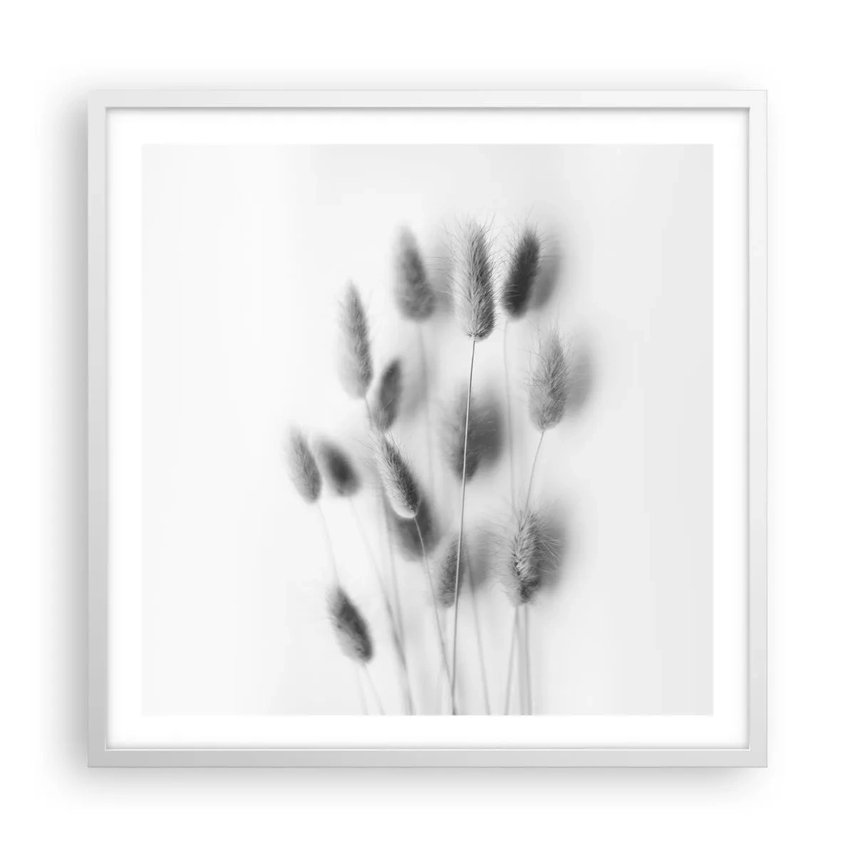 Póster en marco blanco - Esponjas naturales - 60x60 cm