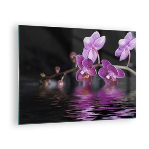 Cuadro sobre vidrio - Impresiones sobre Vidrio - Un reflejo lila de la belleza - 70x50 cm