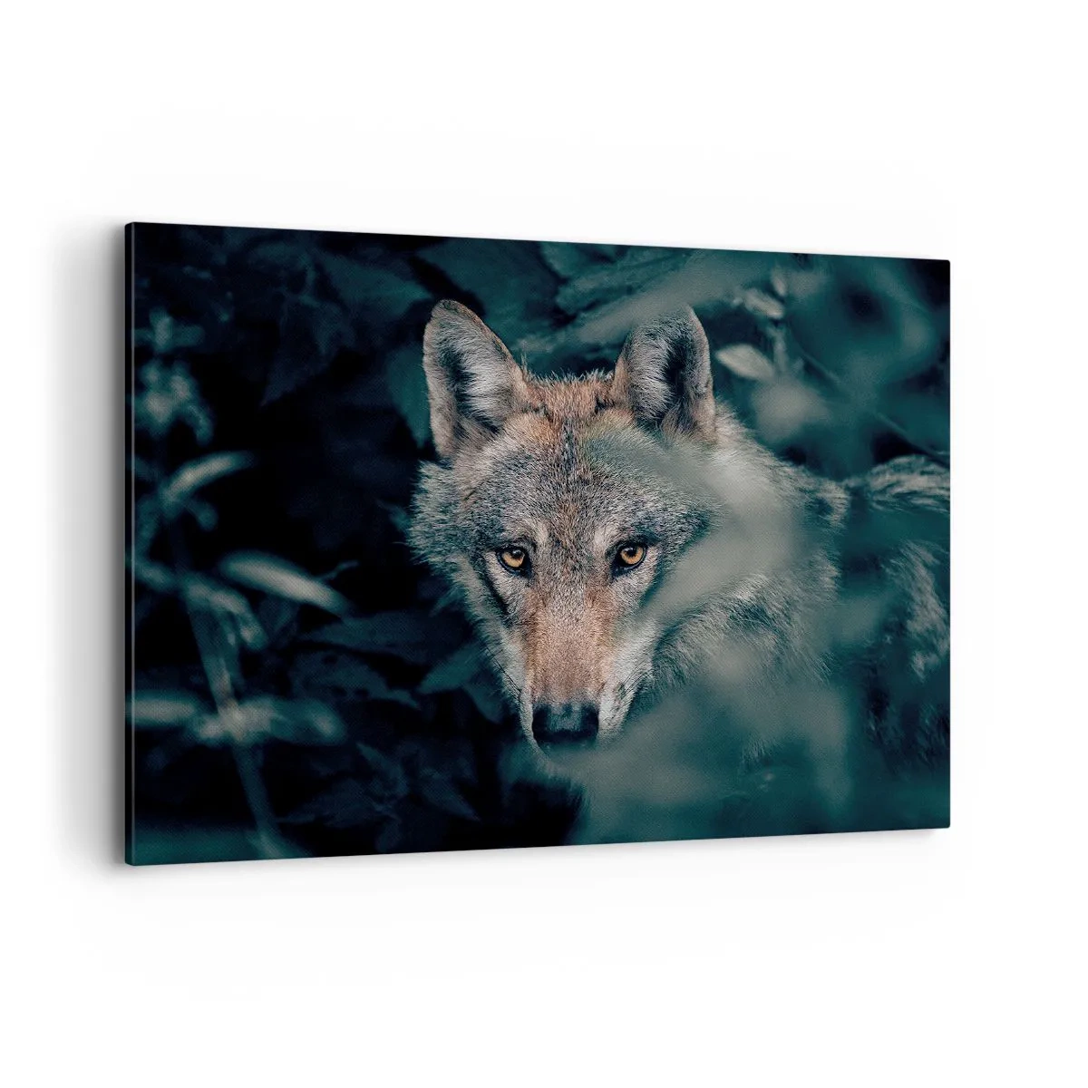 Cuadro sobre lienzo - Impresión de Imagen - Un lobo en su entorno natural, mirando desde las profundidades del bosque. - 100x70cm - Cazador - Decoración de pared moderna para salón y dormitorio ARTTOR
