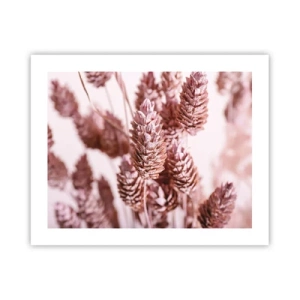 Póster - Aparentemente discreto - 50x40 cm