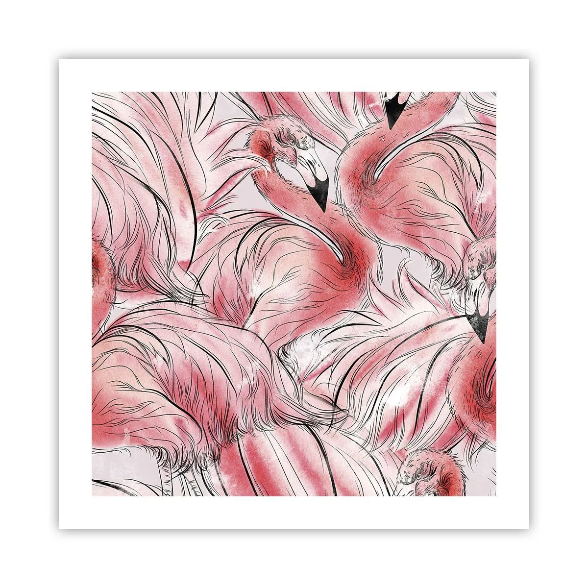 Póster - Ballet de aves - 50x50 cm