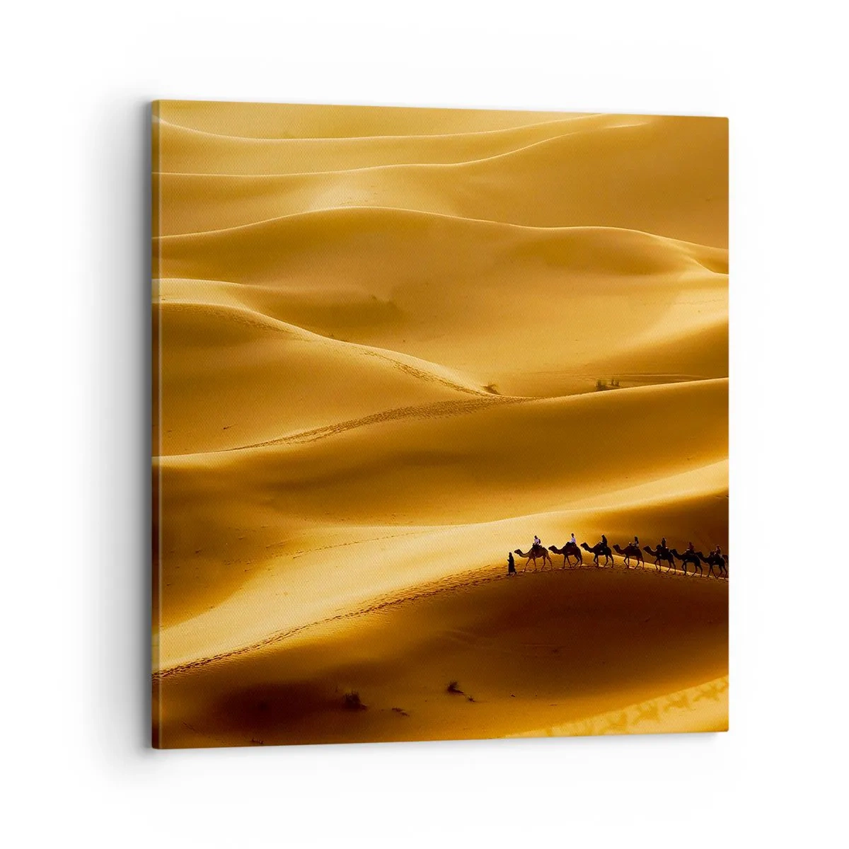 Cuadro sobre lienzo - Impresión de Imagen - Caravana sobre las olas del desierto - 70x70 cm