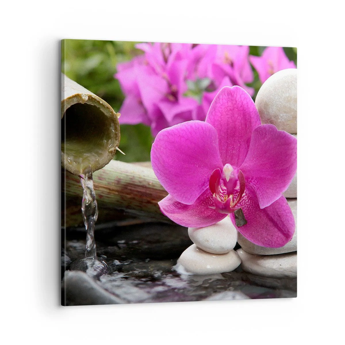 Cuadro sobre lienzo - Impresión de Imagen - Ya estás descansando - 60x60 cm