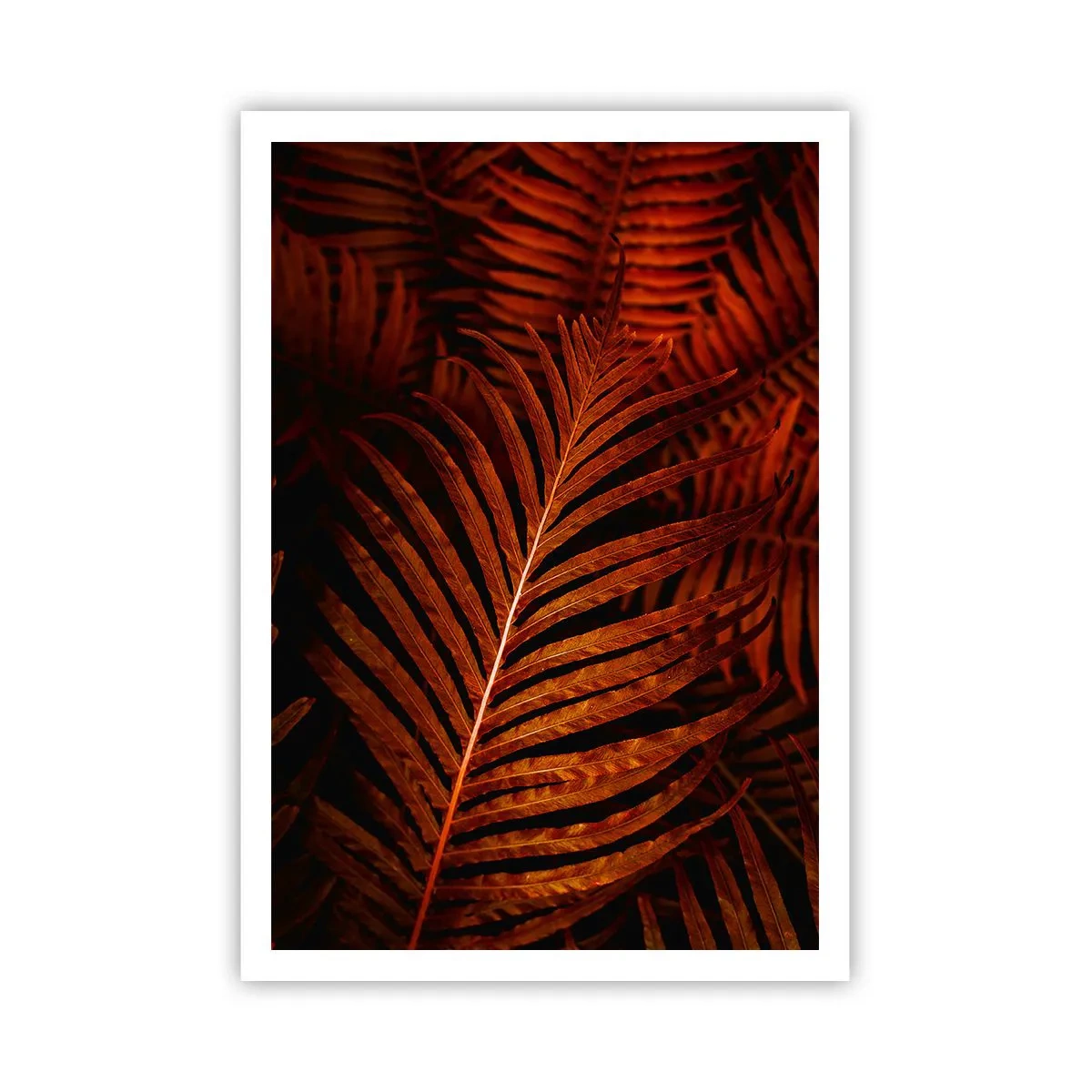 Póster - Las brasas de la vida - 70x100 cm