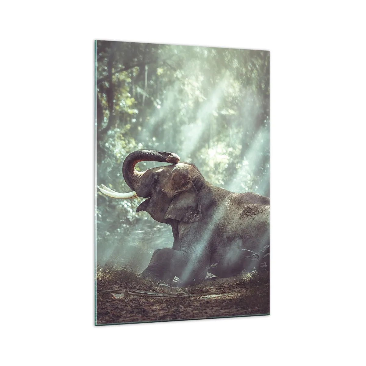 Cuadro sobre vidrio - Impresiones sobre Vidrio - Un niño y un elefante en un entorno forestal iluminado por la luz del sol. - 70x100cm - Y escucha esto... - Decoración de pared moderna para salón y dormitorio ARTTOR