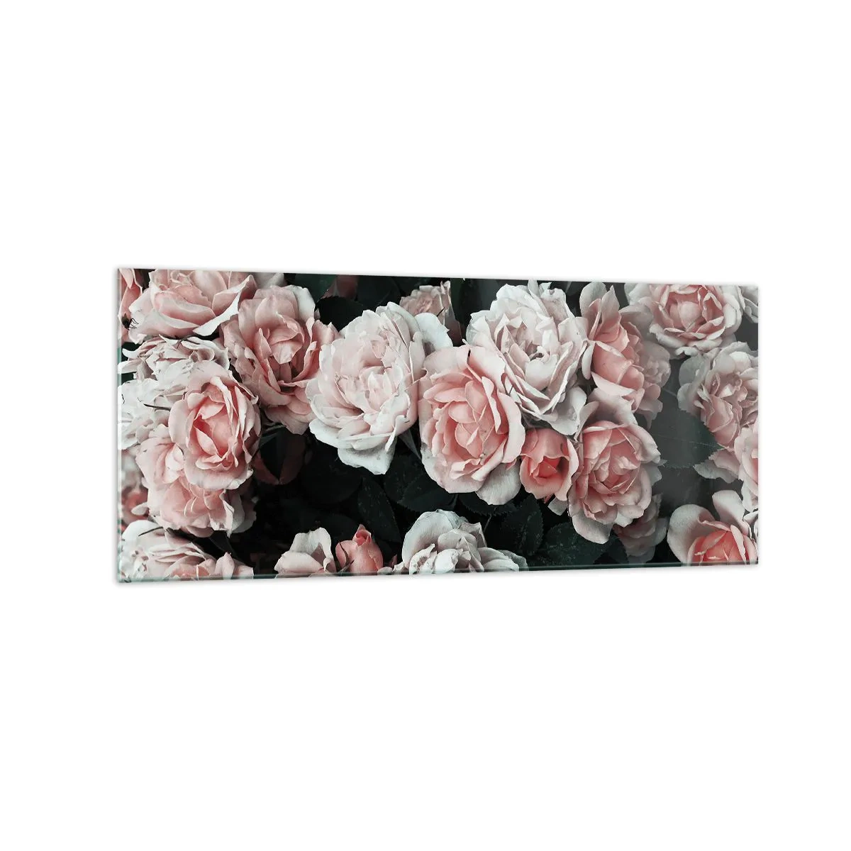 Cuadro sobre vidrio - Impresiones sobre Vidrio - Rosas rosadas sobre un fondo oscuro en una composición sutil. - 120x50cm - Conjunto de rosas - Decoración de pared moderna para salón y dormitorio ARTTOR