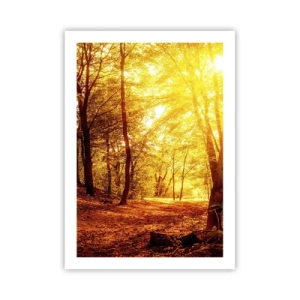 Póster - Atardecer iluminando un bosque otoñal lleno de hojas doradas - 50x70cm - Hacia un claro de oro - Decoración de pared moderna para salón y dormitorio ARTTOR