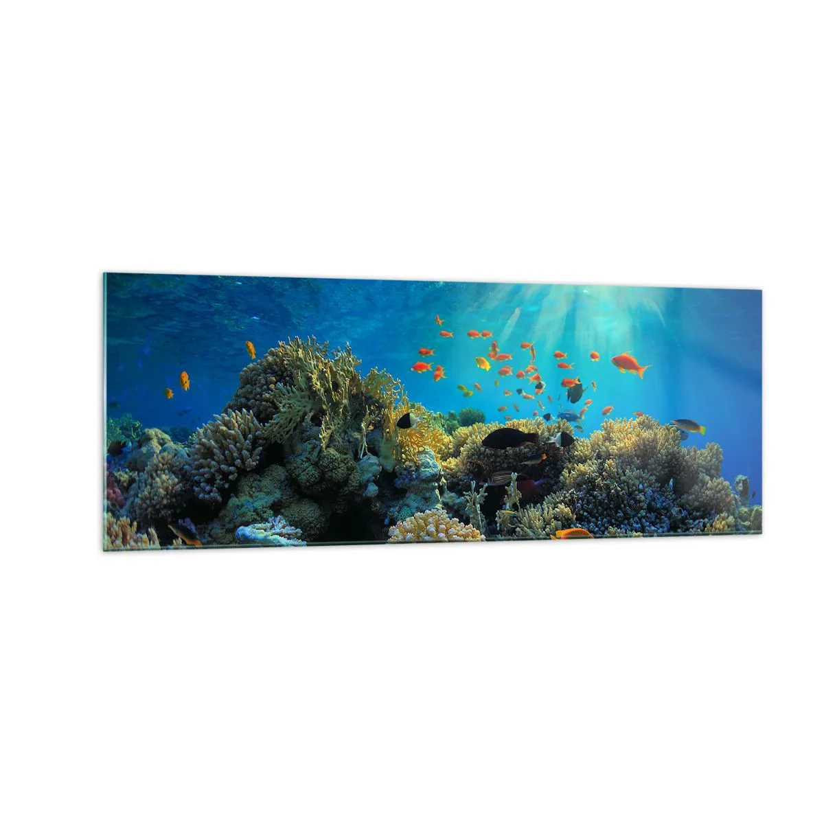 Cuadro sobre vidrio - Impresiones sobre Vidrio - Arrecife de coral con peces bajo los rayos del sol bajo el agua. - 140x50cm - Tesoros submarinos - Decoración de pared moderna para salón y dormitorio ARTTOR