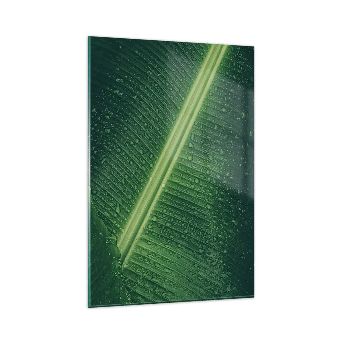 Cuadro sobre vidrio - Impresiones sobre Vidrio - Una hoja verde con gotas de agua en su superficie. - 80x120cm - Estructura del verde - Decoración de pared moderna para salón y dormitorio ARTTOR