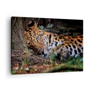 Cuadro sobre lienzo - Impresión de Imagen - Un leopardo tumbado a la sombra de los árboles. - 70x50cm - Confía en mí - Decoración de pared moderna para salón y dormitorio ARTTOR