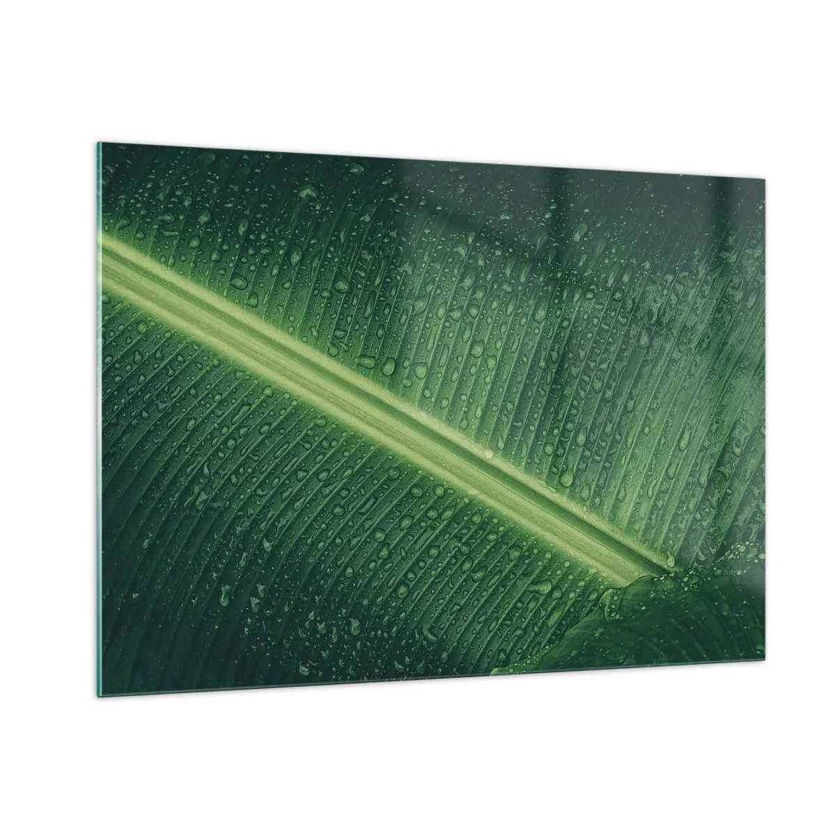 Cuadro sobre vidrio - Impresiones sobre Vidrio - Primer plano de una hoja verde con gotas de agua. - 100x70cm - Estructura del verde - Decoración de pared moderna para salón y dormitorio ARTTOR
