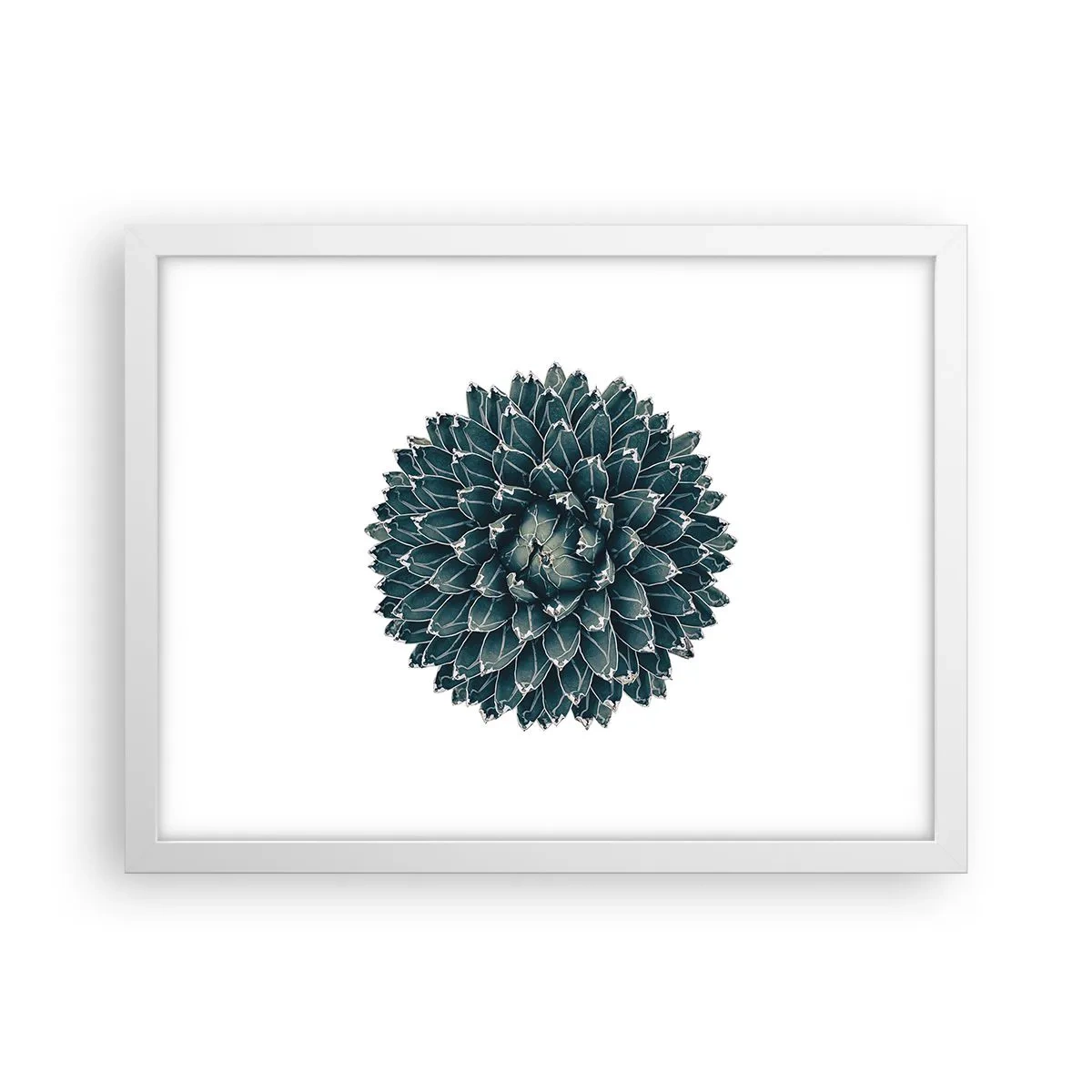 Póster en marco blanco - Estrella del desierto - 40x30 cm