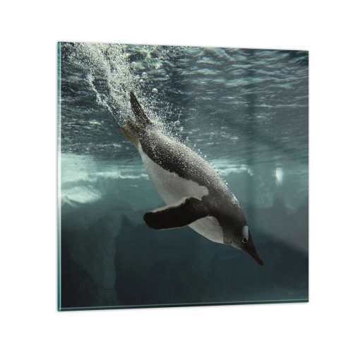 Cuadro sobre vidrio - Impresiones sobre Vidrio - Bienvenido a mi mundo - 70x70 cm