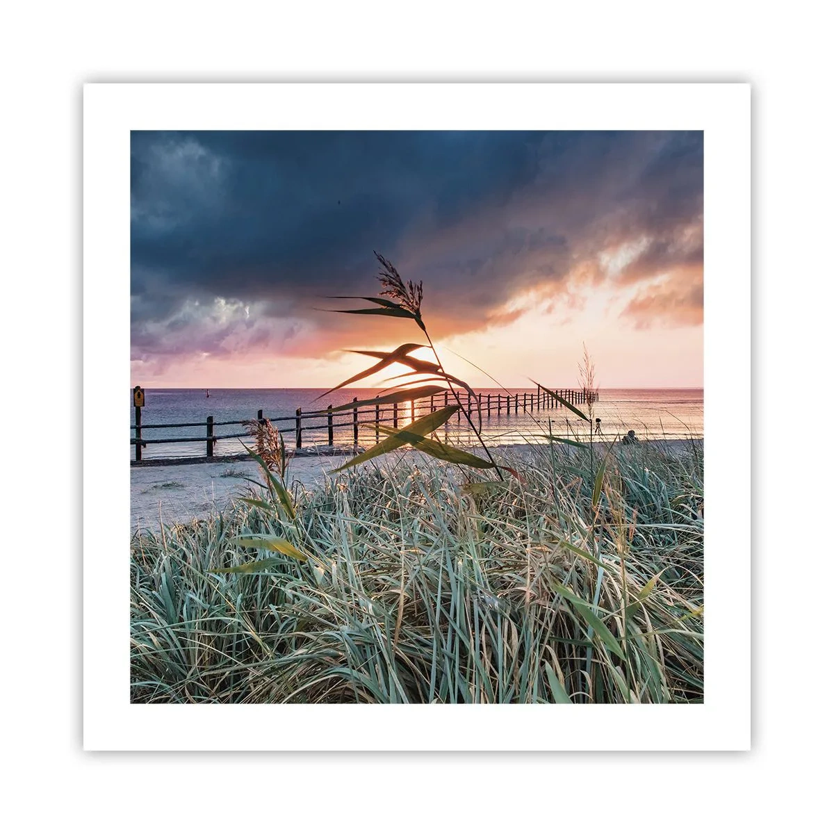 Póster - Bailando con el viento - 50x50 cm