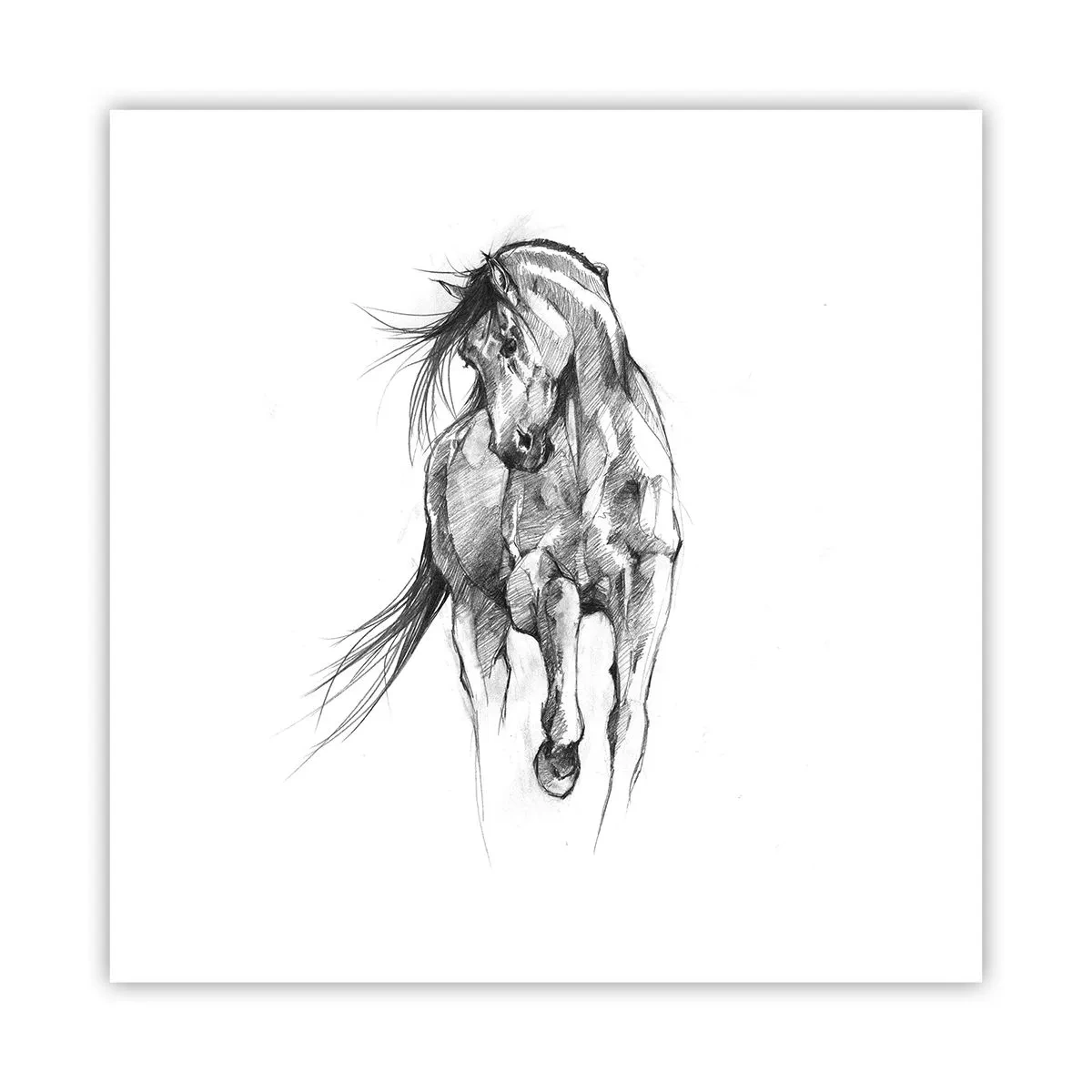 Póster - En un elegante trote - 40x40 cm