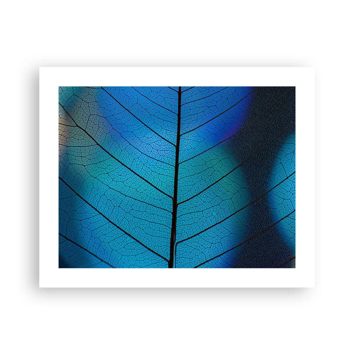 Póster - Construcción intrincada - 50x40 cm