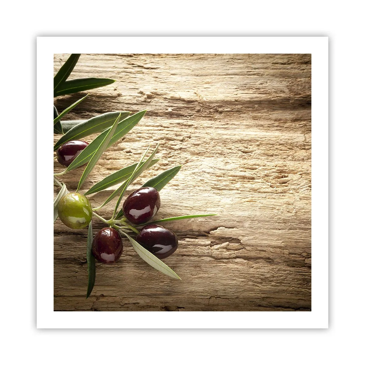 Póster - Directamente de la naturaleza - 60x60 cm