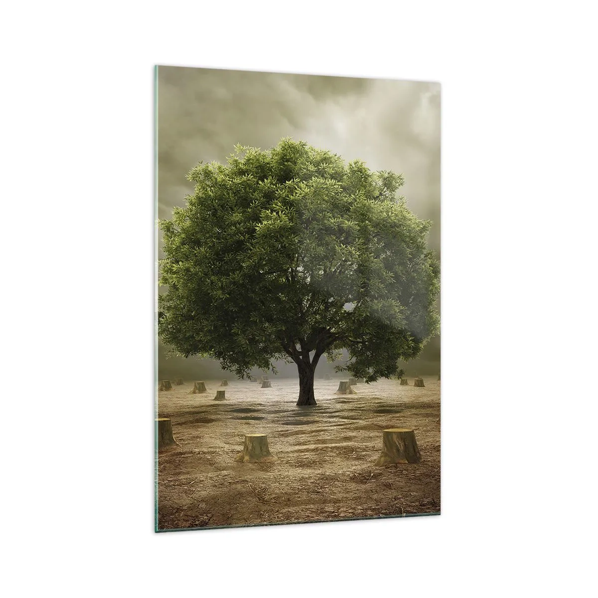 Cuadro sobre vidrio - Impresiones sobre Vidrio - Un árbol verde rodeado de troncos talados contra un cielo nublado. - 70x100cm - La esperanza - Decoración de pared moderna para salón y dormitorio ARTTOR