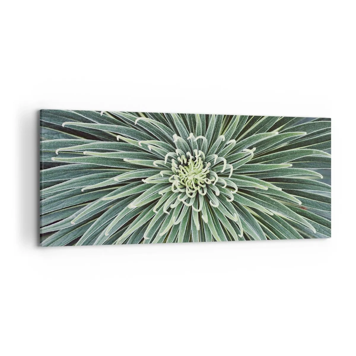 Cuadro sobre lienzo - Impresión de Imagen - Disposición simétrica de hojas verdes que se asemeja a una estrella. - 120x50cm - El nacimiento de una estrella - Decoración de pared moderna para salón y dormitorio ARTTOR