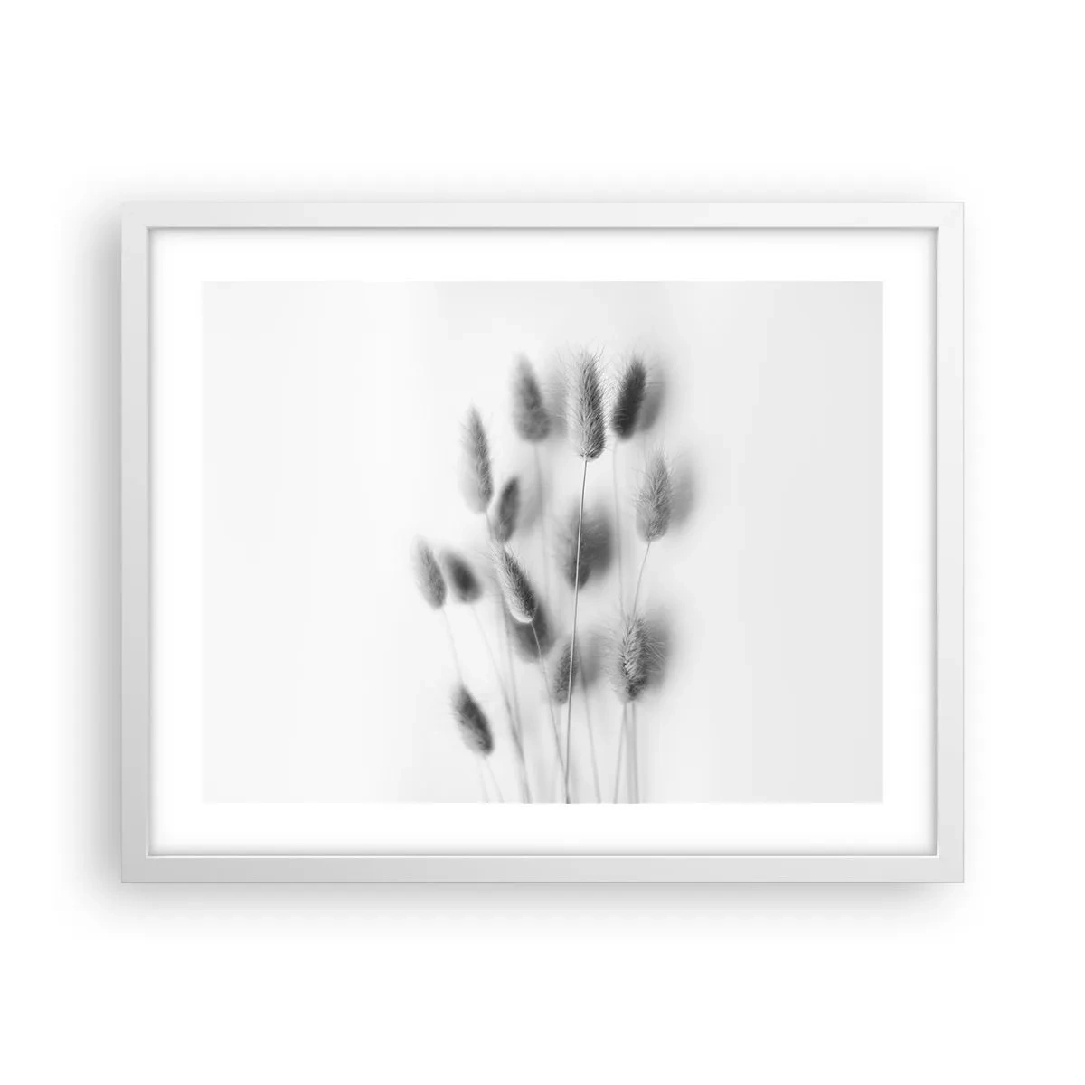 Póster en marco blanco - Esponjas naturales - 50x40 cm