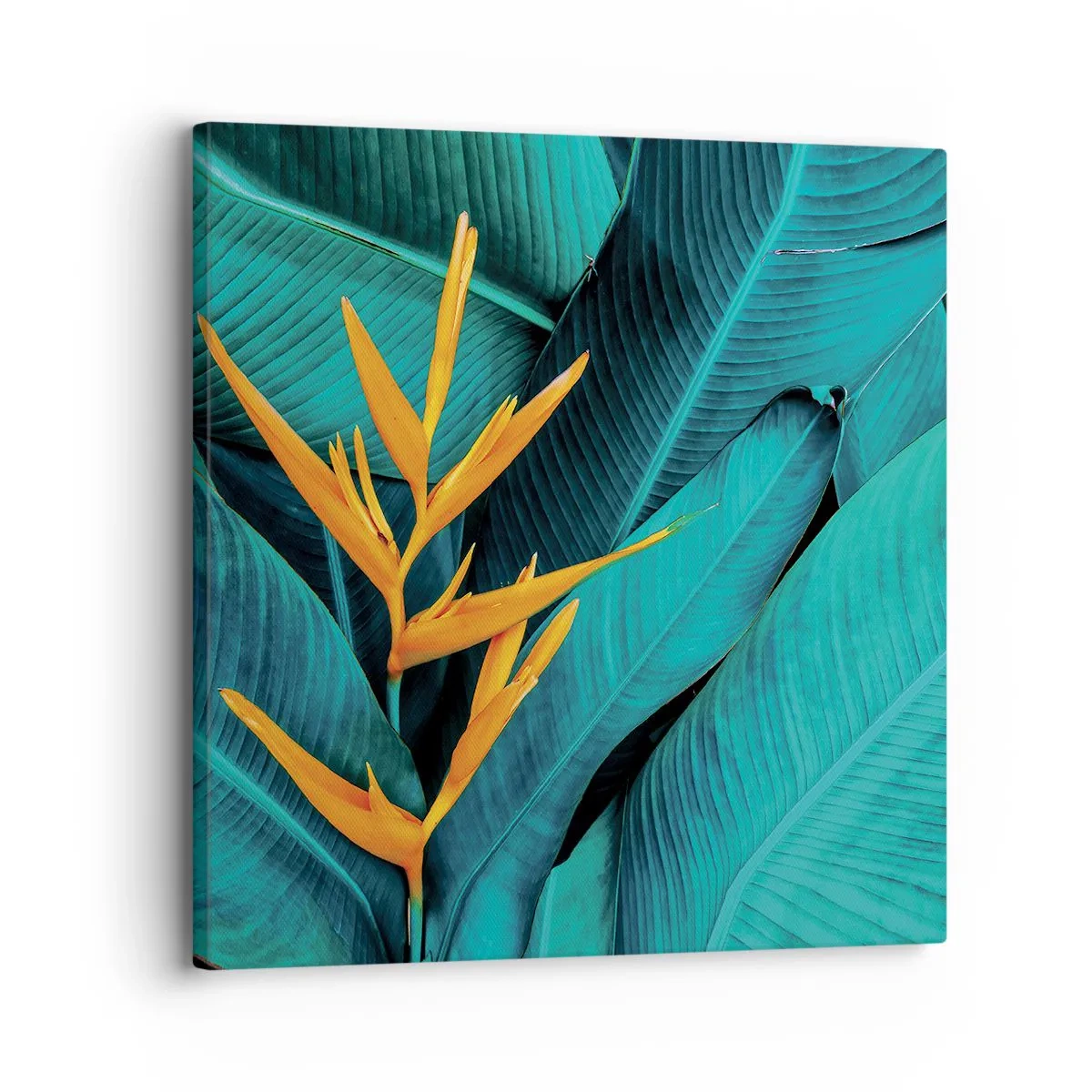 Cuadro sobre lienzo - Impresión de Imagen - Flor del Edén - 30x30 cm