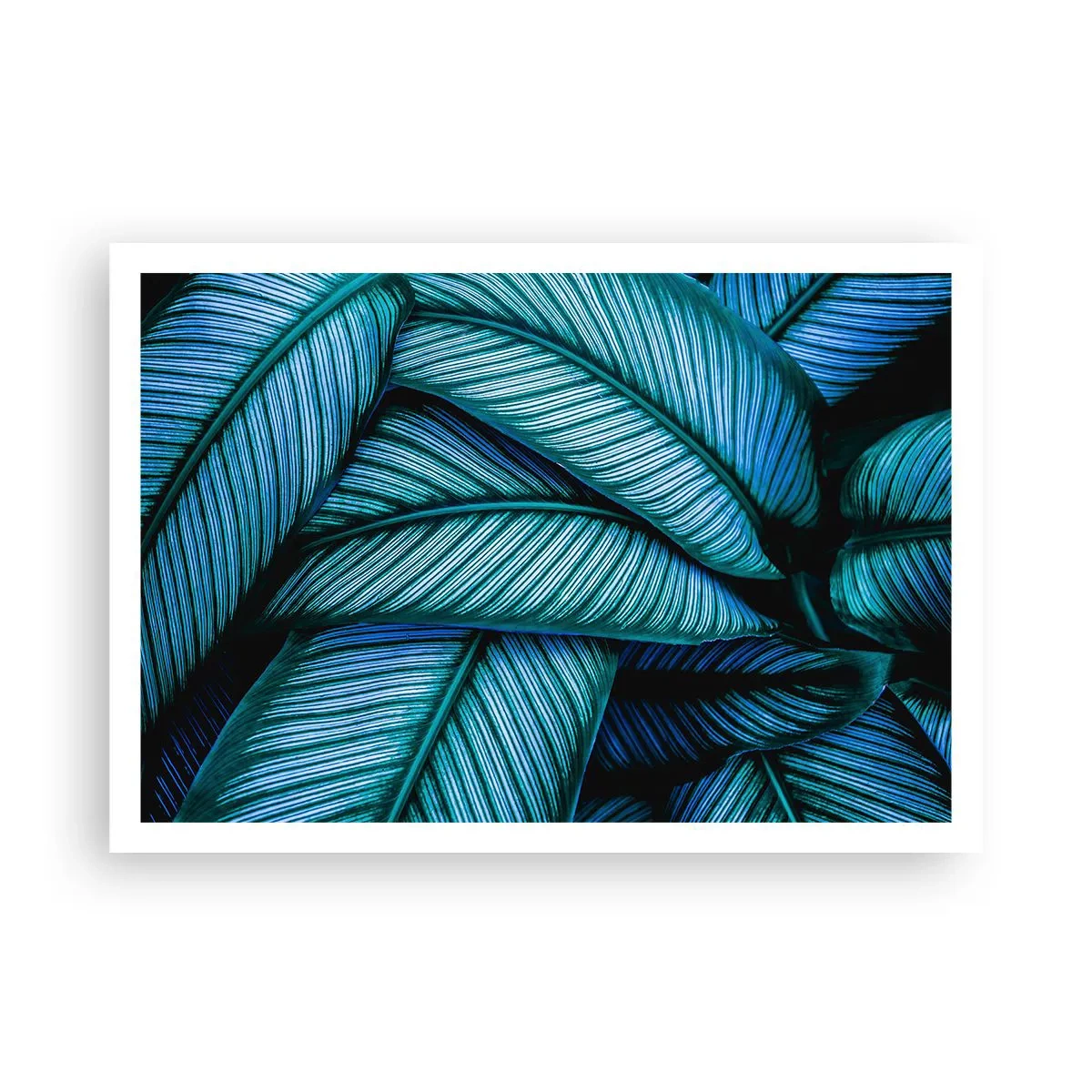 Póster - Una toma de primer plano de hojas turquesas con vívidos detalles. - 100x70cm - Líneas de vida - Decoración de pared moderna para salón y dormitorio ARTTOR