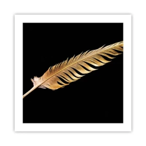 Póster - Pluma de alta calidad - 50x50 cm