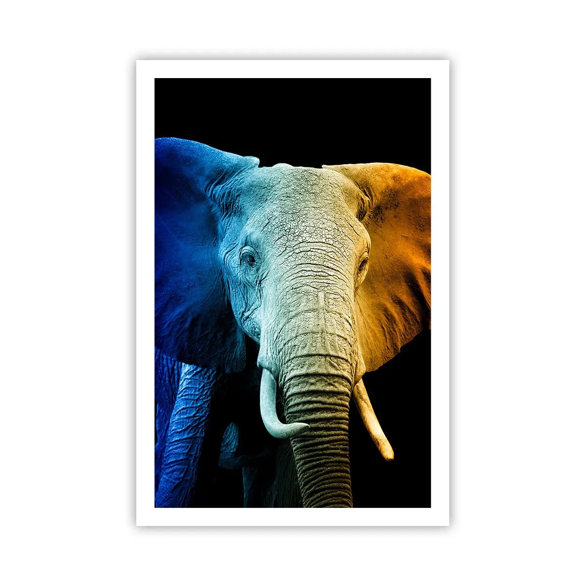 Póster - Excéntrico, no un bicho raro - 61x91 cm