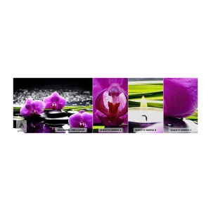 Muestra de fotomural Premium Sand - Ahogarse en la paz y la tranquilidad - flores, Orquídea, Orquídea - 100x30 cm