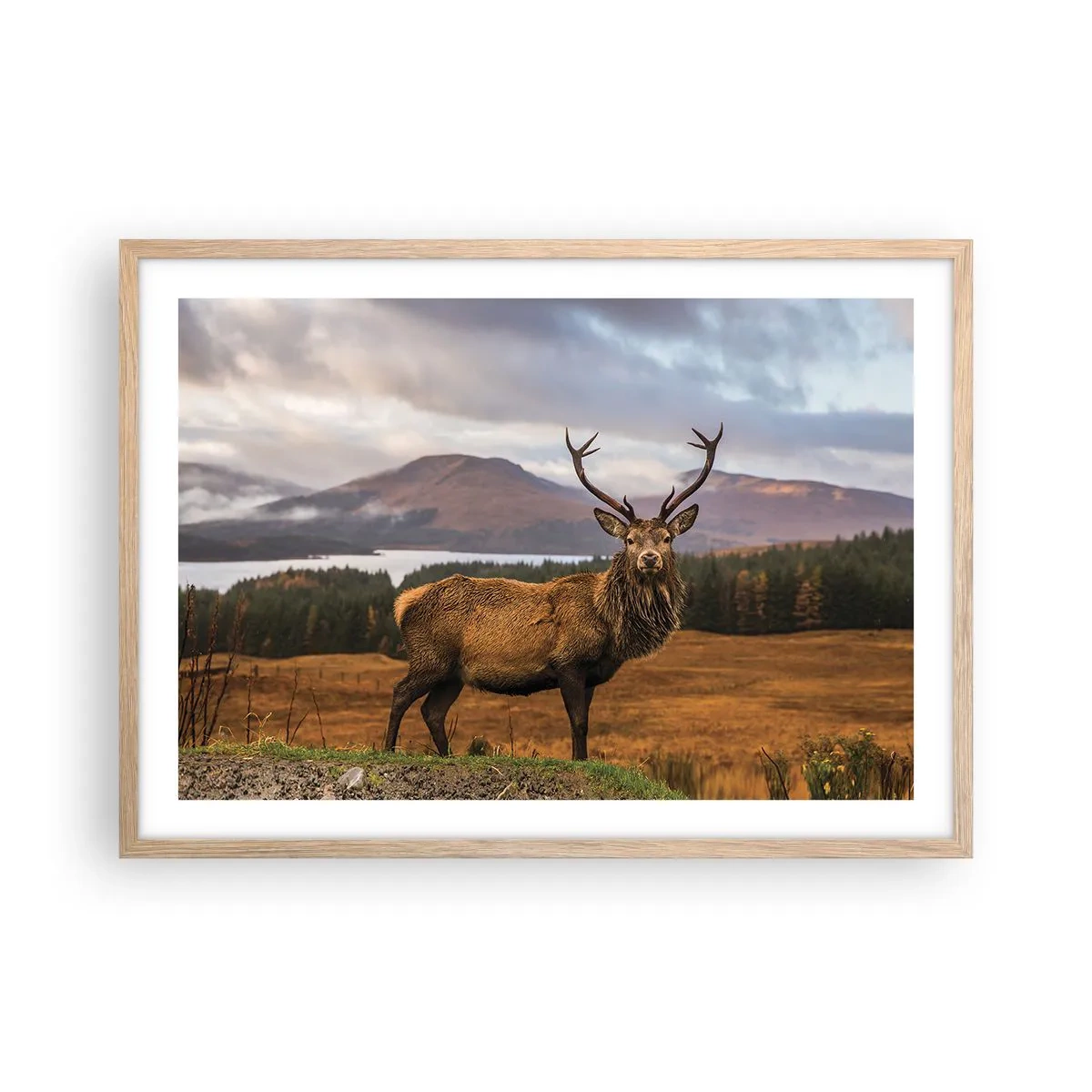 Póster en marco roble claro - La majestuosidad de la naturaleza - 70x50 cm