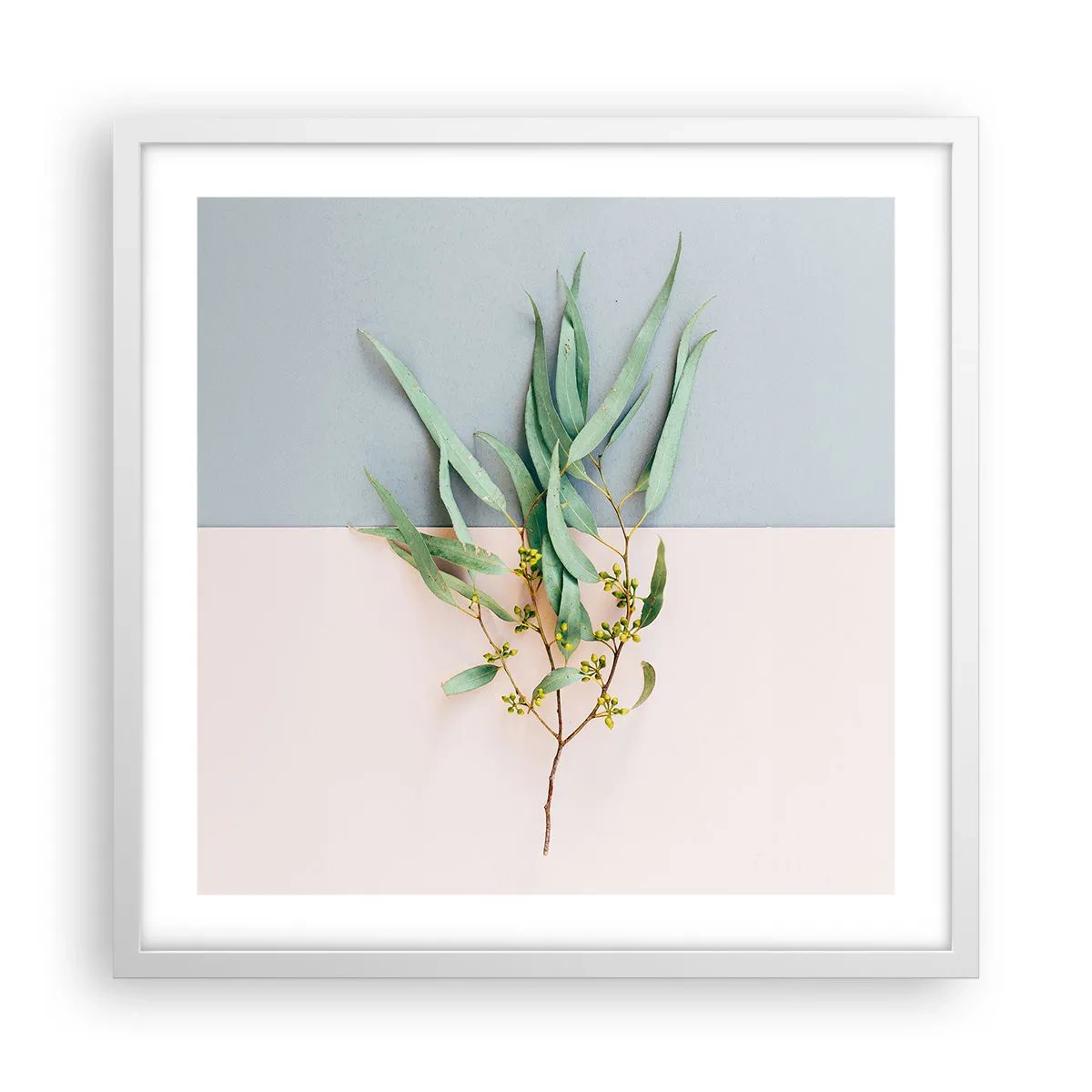 Póster en marco blanco - La sutileza del pastel - 50x50 cm