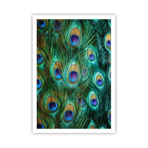 Póster - Mirada de pavo real - 70x100 cm