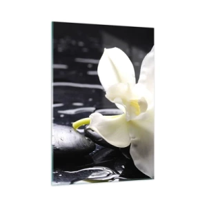 Cuadro sobre vidrio - Impresiones sobre Vidrio - Orquídea blanca sobre piedras negras mojadas - 50x70cm - Un estudio en blanco y negro - Decoración de pared moderna para salón y dormitorio ARTTOR