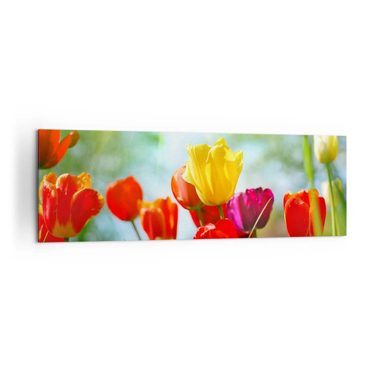 Cuadro sobre lienzo - Impresión de Imagen - Tulipanes coloridos bajo el sol - 160x50cm - Todos los tonos del sol - Decoración de pared moderna para salón y dormitorio ARTTOR