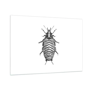 Cuadro sobre vidrio - Impresiones sobre Vidrio - Ilustración en blanco y negro de un insecto sobre un fondo blanco. - 100x70cm - ¡Qué espécimen! - Decoración de pared moderna para salón y dormitorio ARTTOR