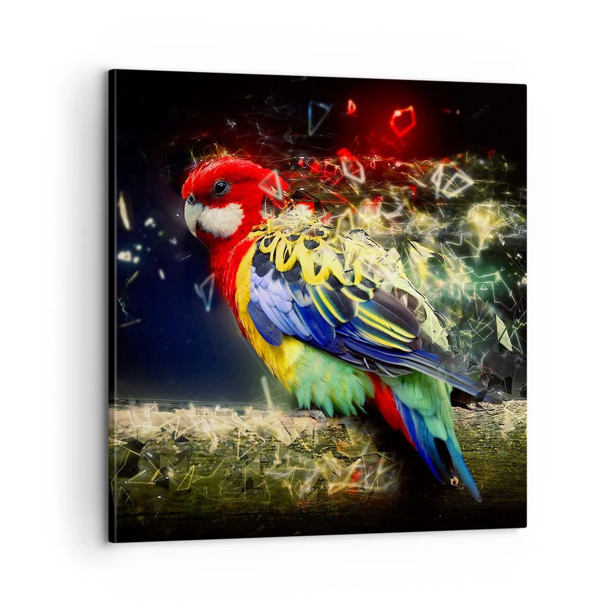 Cuadro sobre lienzo - Impresión de Imagen - Un mensajero del glamour - 60x60 cm