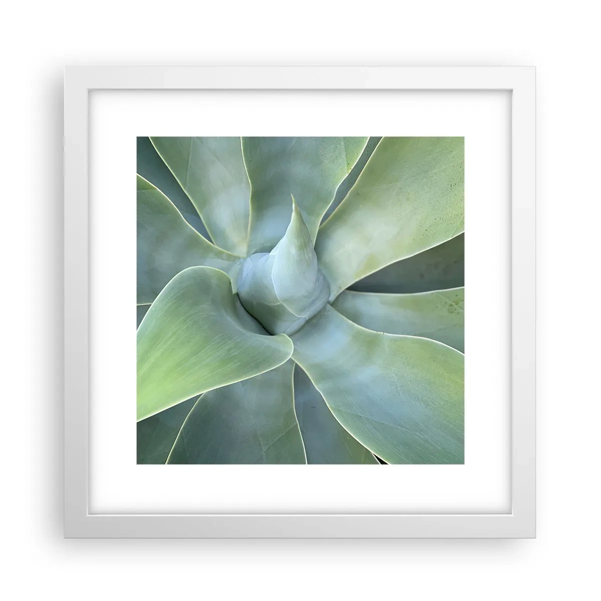 Póster en marco blanco - El nacimiento del verde - 30x30 cm