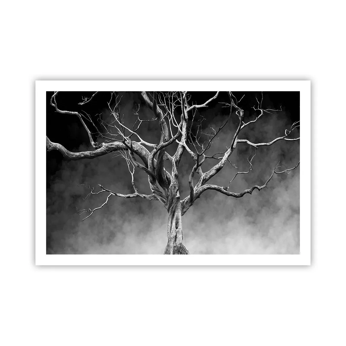 Póster - Primordial y sagrado - 91x61 cm