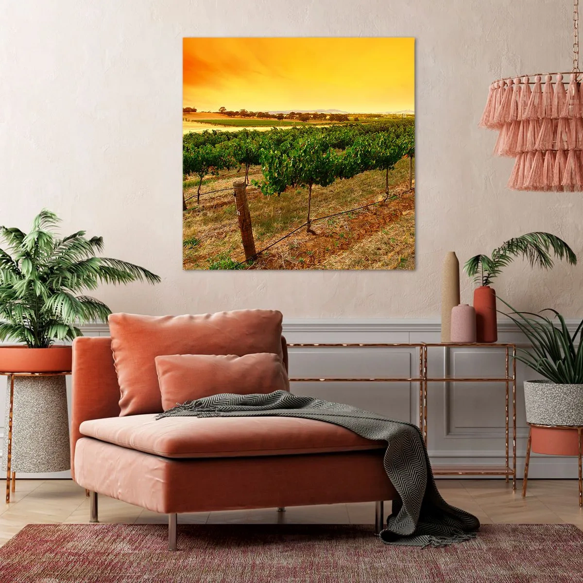 Cuadro sobre lienzo - Impresión de Imagen - Un trago del sol - 60x60 cm