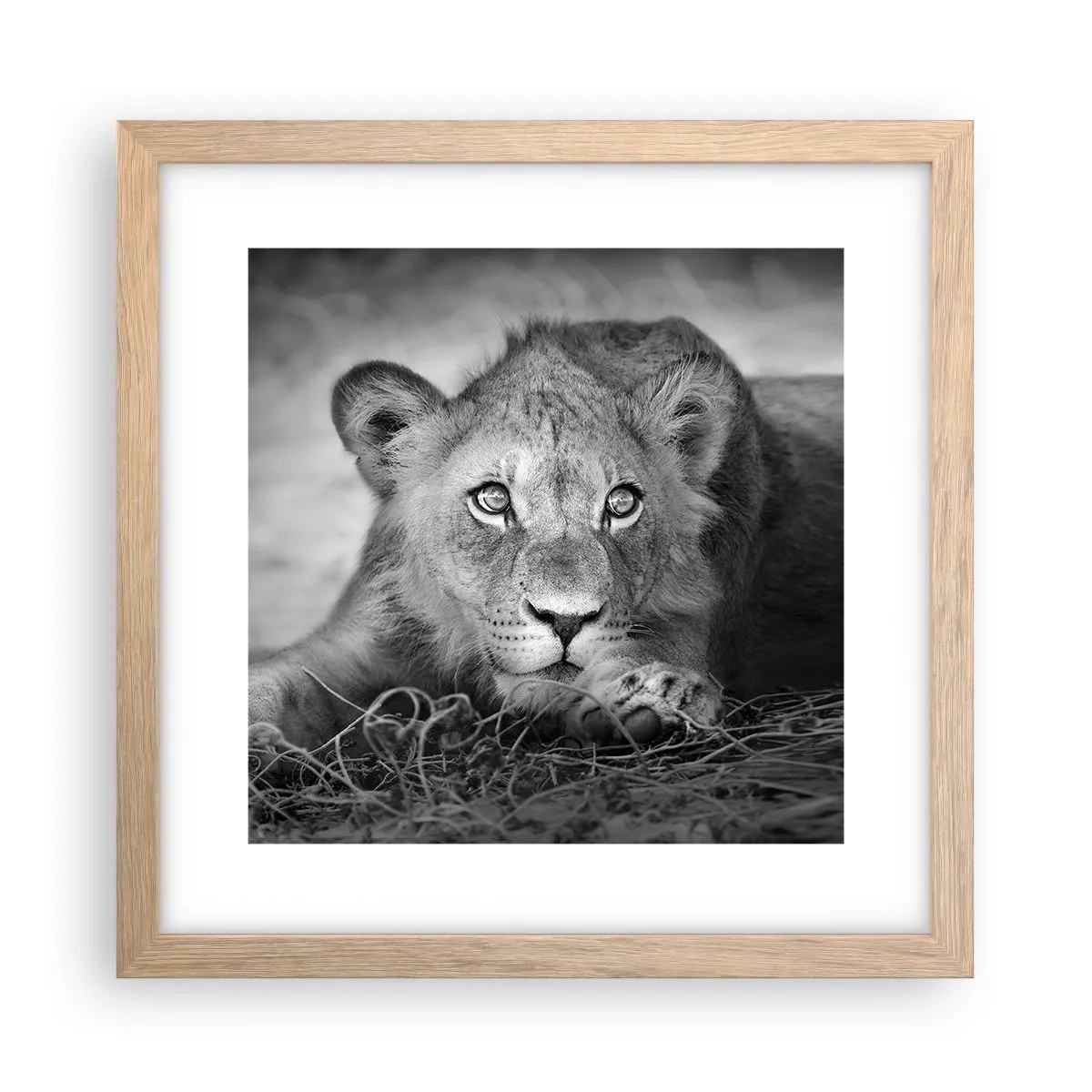 Póster en marco roble claro - Un cachorro real - 30x30 cm