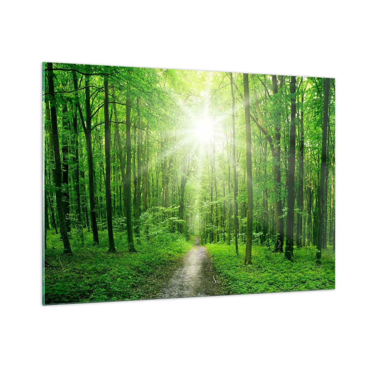 Cuadro sobre vidrio - Impresiones sobre Vidrio - Un camino en el bosque iluminado por los rayos del sol. - 100x70cm - Catedral verde - Decoración de pared moderna para salón y dormitorio ARTTOR