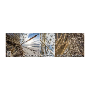 Muestra de fotomural Premium Canvas - Una reunión de los elementos - Paisaje, Mar, Dunas - 100x30 cm