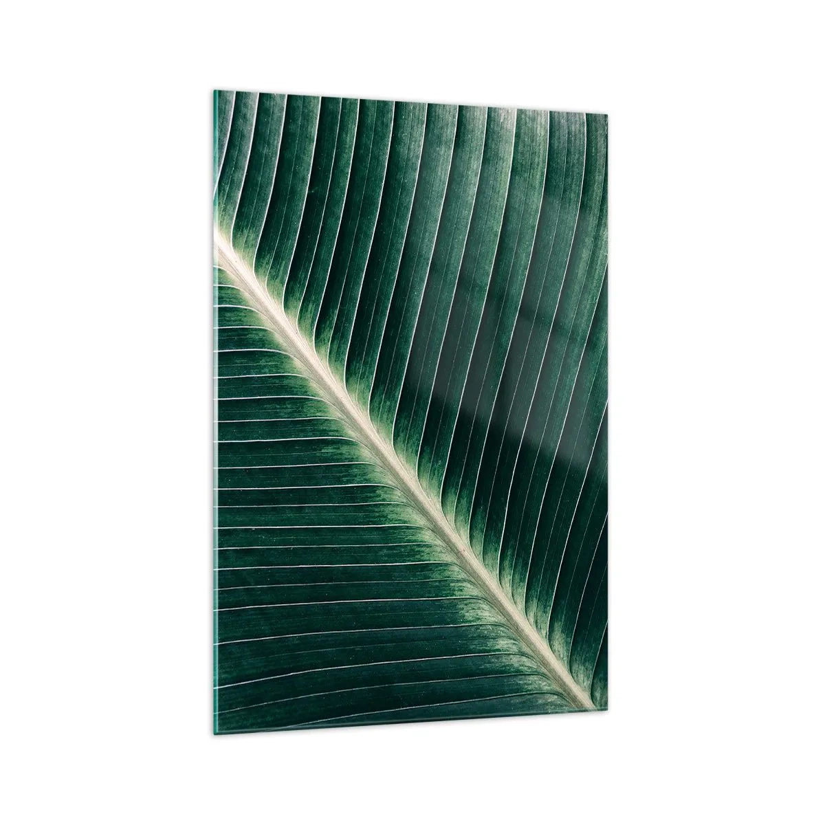 Cuadro sobre vidrio - Impresiones sobre Vidrio - Primer plano de la estructura de una hoja verde. - 70x100cm - El ritmo de la naturaleza - Decoración de pared moderna para salón y dormitorio ARTTOR
