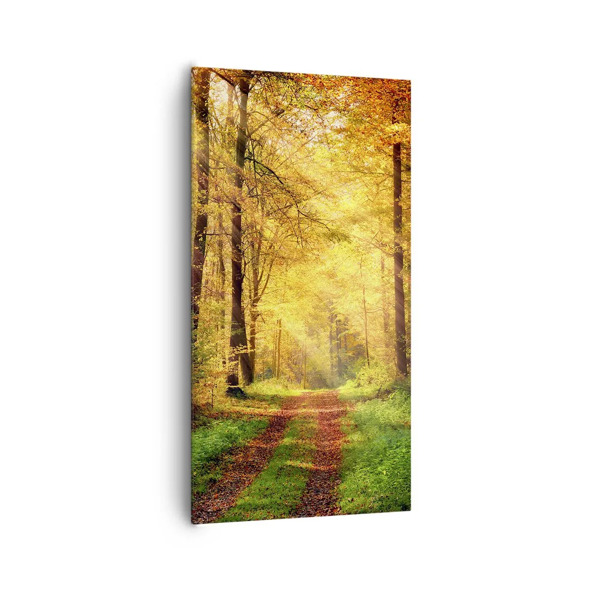 Cuadro sobre lienzo - Impresión de Imagen - Silencio dorado del bosque - 65x120 cm